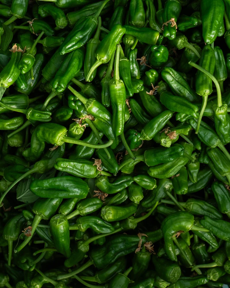 Pimientos de Herbón D.O.P 400g