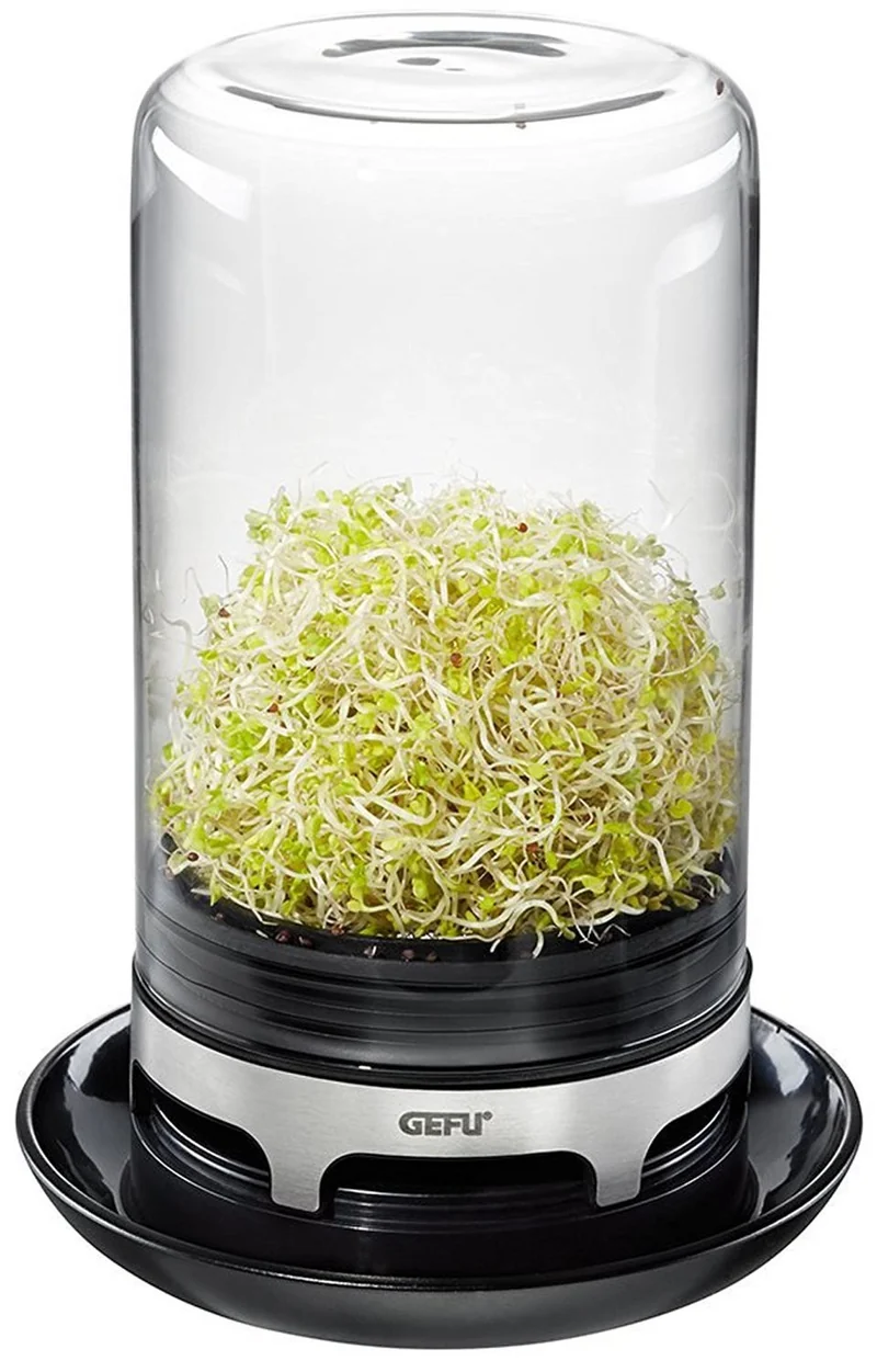 GERMINADOR DE CRISTAL BIVITA