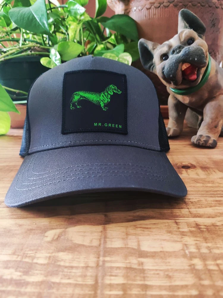 VISERA PERRO SALCHICHA Mister Green