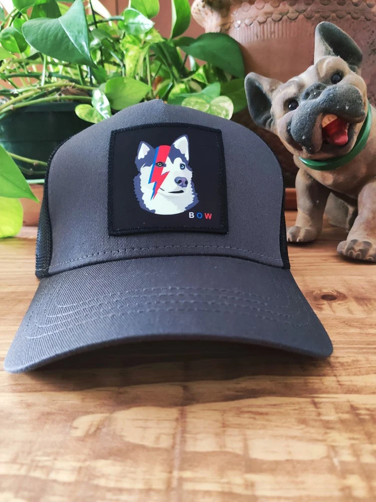 VISERA HUSKY BOWIE