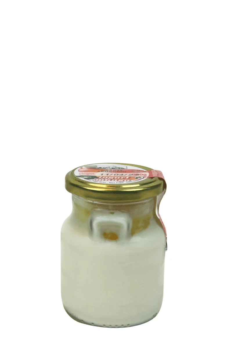 Yogur artesano de mango 260 g - Granja Armengol