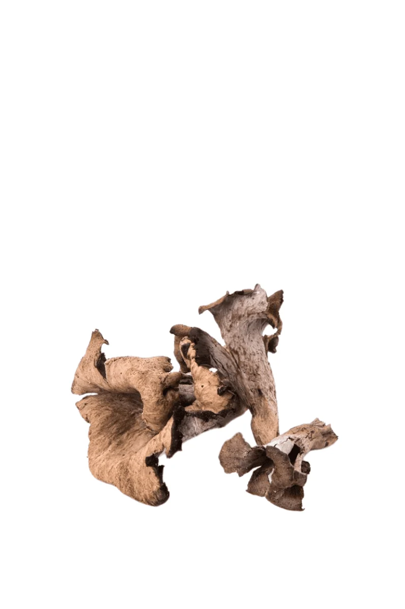 Seta trompeta de la mort en bolsa Kraft 250 g