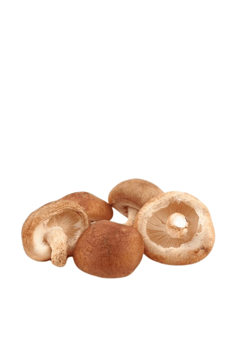 Seta shitake en bolsa Kraft 300 g