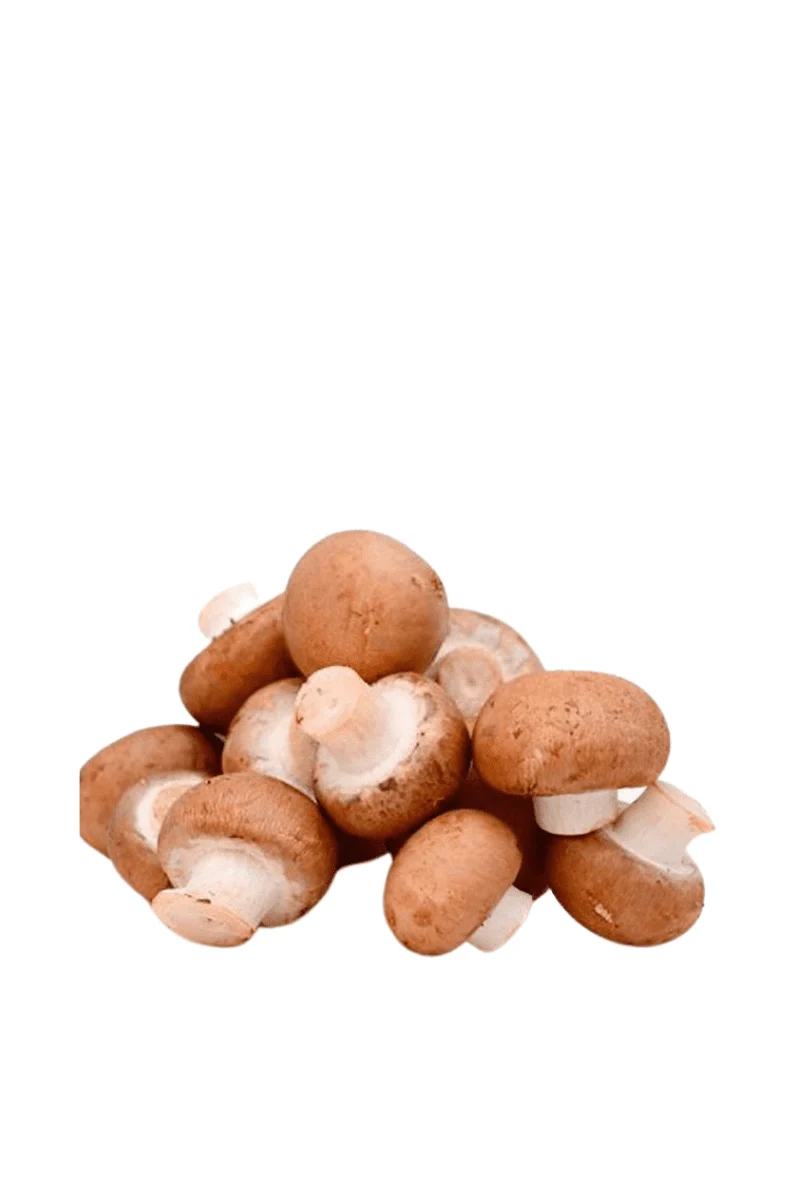 Seta Portobello en bolsa Kraft 250 g