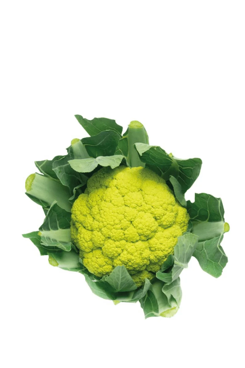 Brocoli verde extra 1 Ud (Peso medio Unidad 1Kg)
