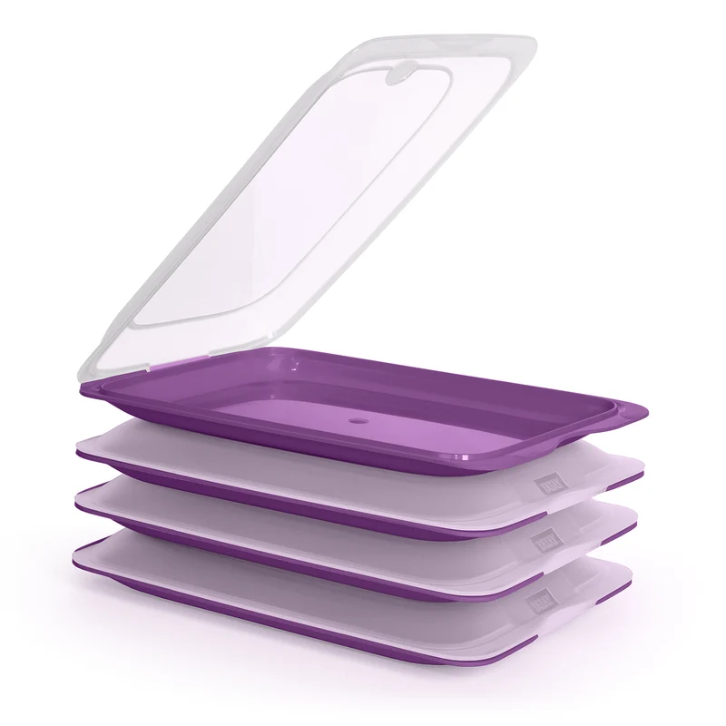 TATAY Fresh - Lote de 4 Recipientes Porta Embutidos y Alimentos. Berenjena 21