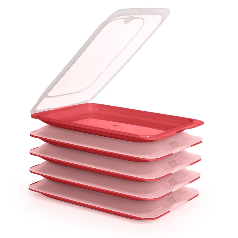 TATAY Fresh - Lote de 5 Recipientes Porta Embutidos y Alimentos. Burdeos 19