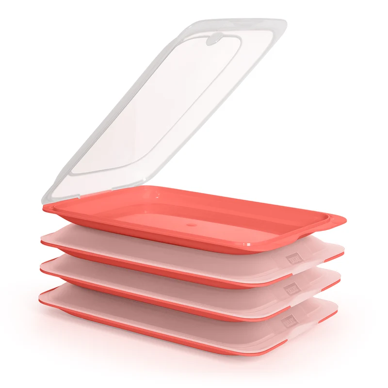 TATAY Fresh - Lote de 4 Recipientes Porta Embutidos y Alimentos. Coral 21