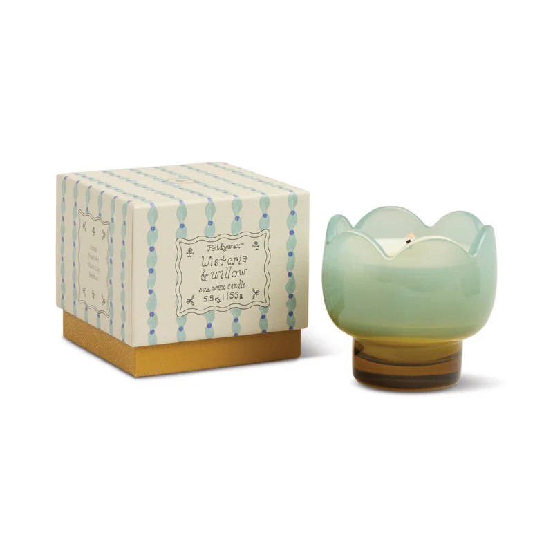 Tulip Vela de Cristal Wisteria & Willow Tulip