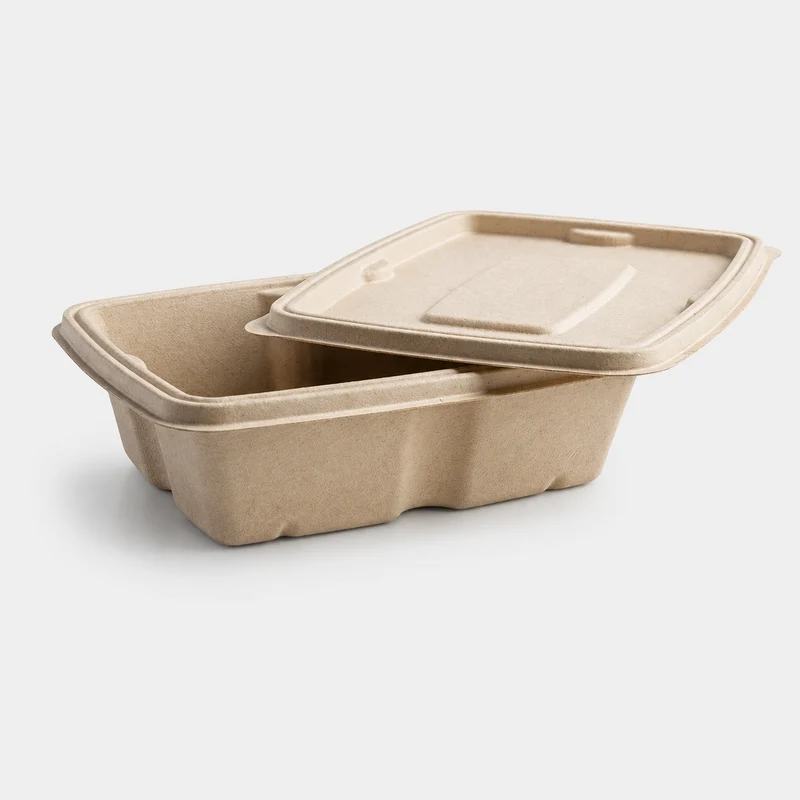 Envase rectangular caña de azúcar compostable hermético. Varias medidas - 600 Uds.