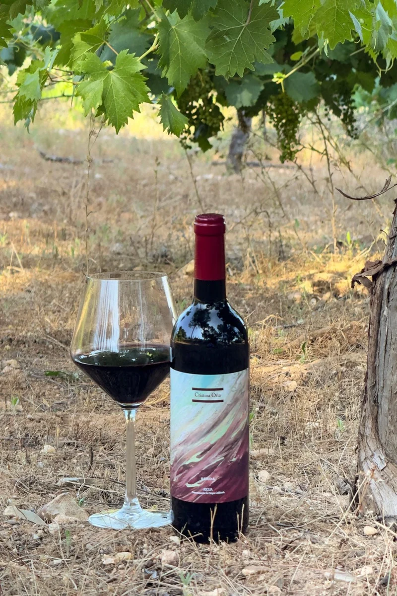 Vino Tinto Senda Crianza 2021 CO