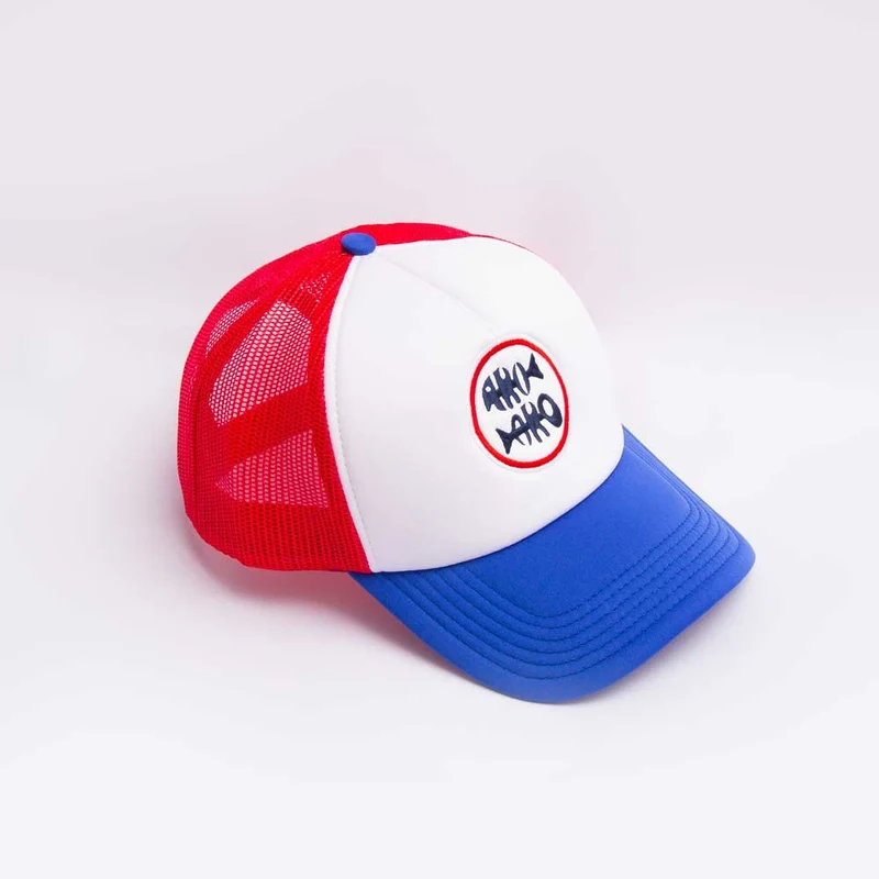 VISERA DEMOGORRA AROARO