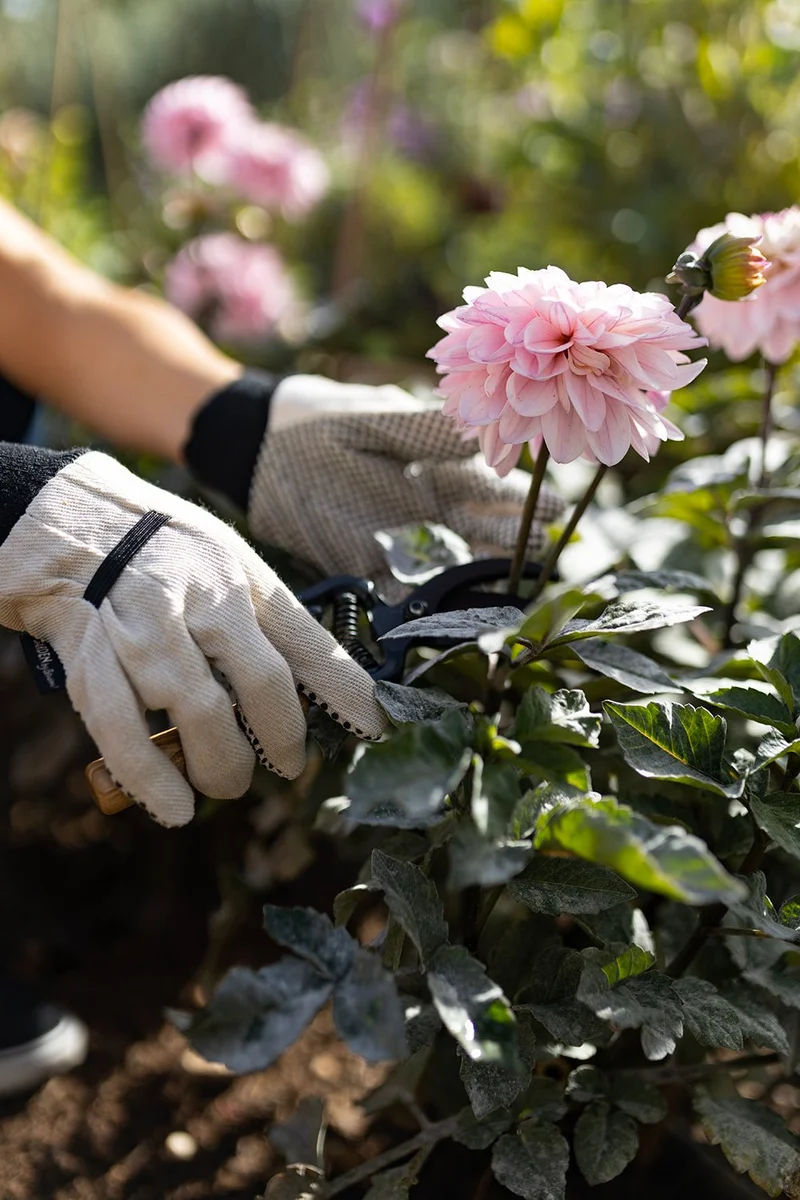 Guantes Especial Jardinería