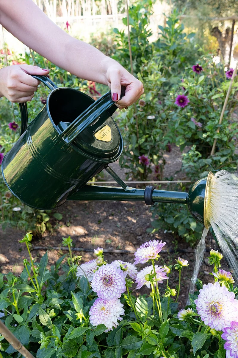 Regadera De Metal Verde 5L