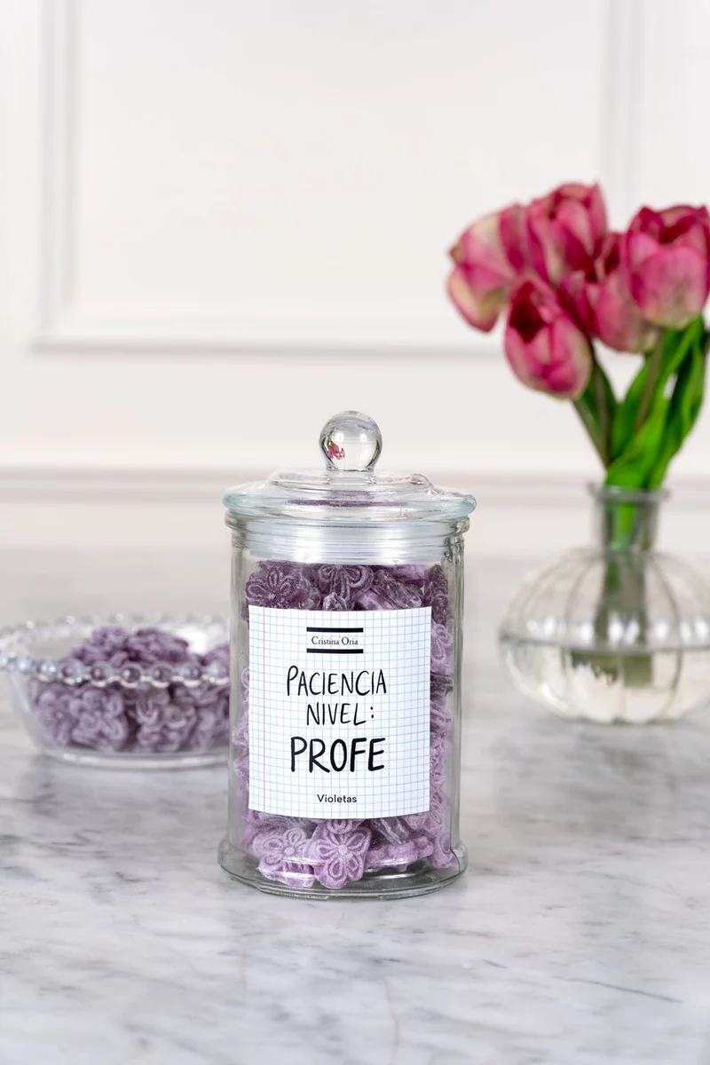 Tarro De Violetas Especial Profesores