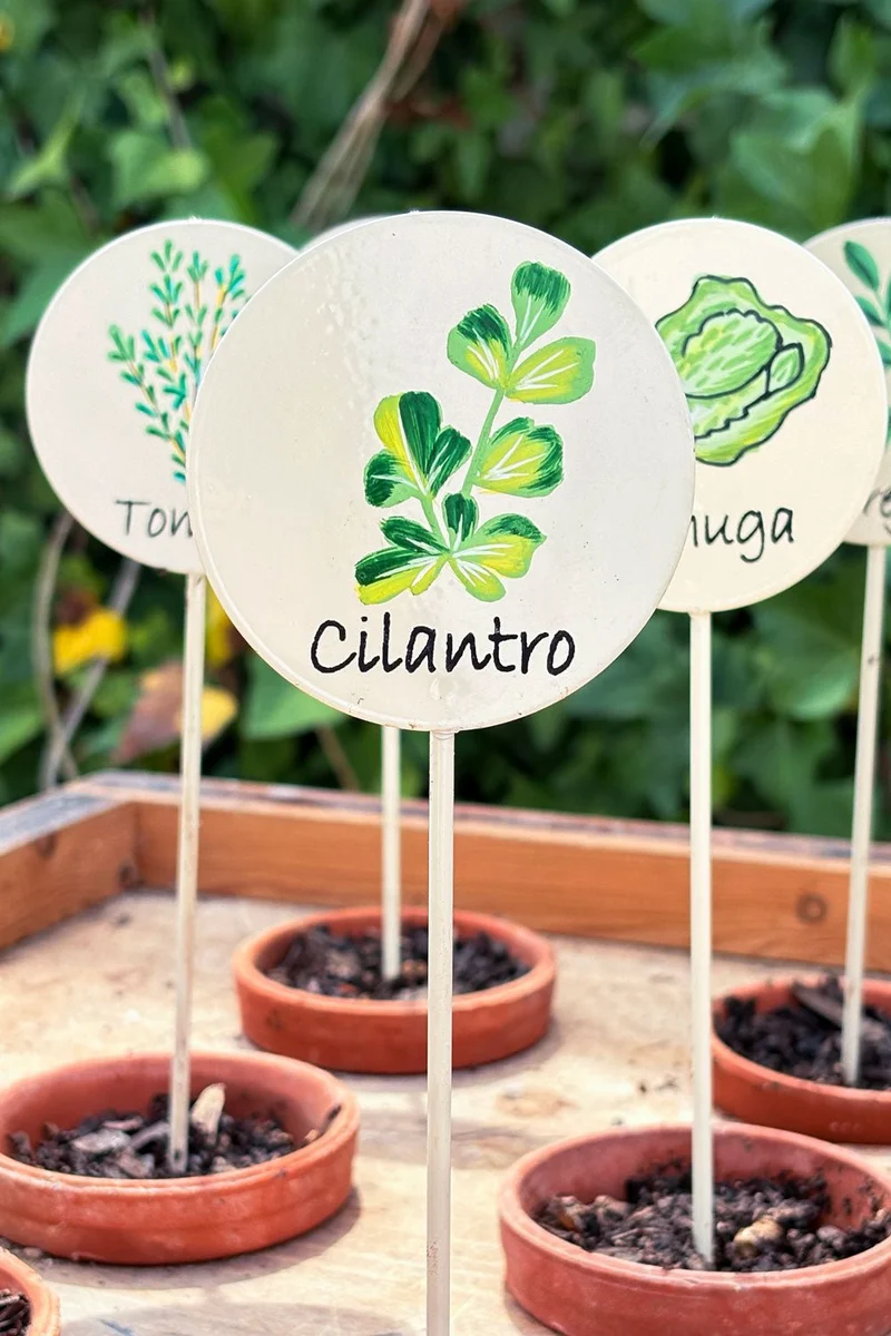 Cartel Para Plantas De Jardín Cilantro