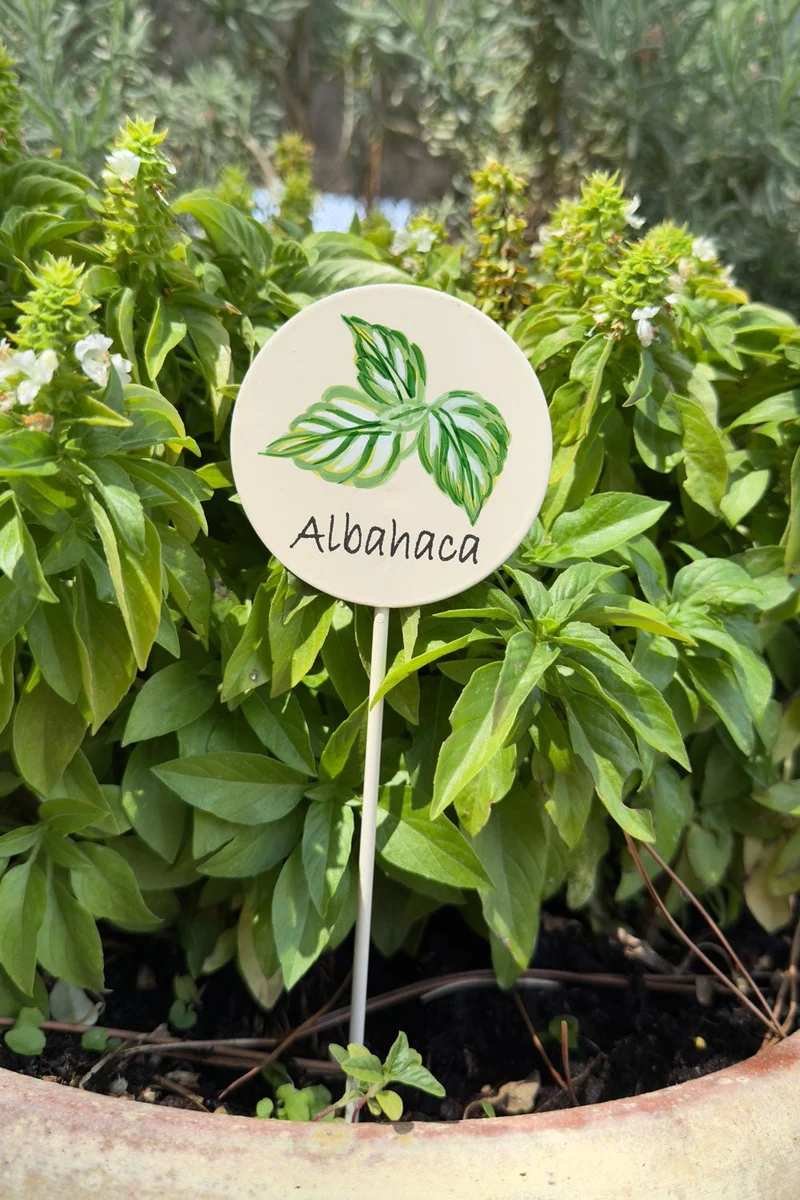 Cartel Para Plantas de Jardín Albahaca