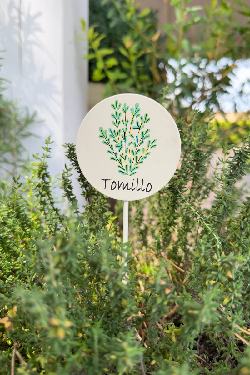 Cartel Para Plantas De Jardín Tomillo