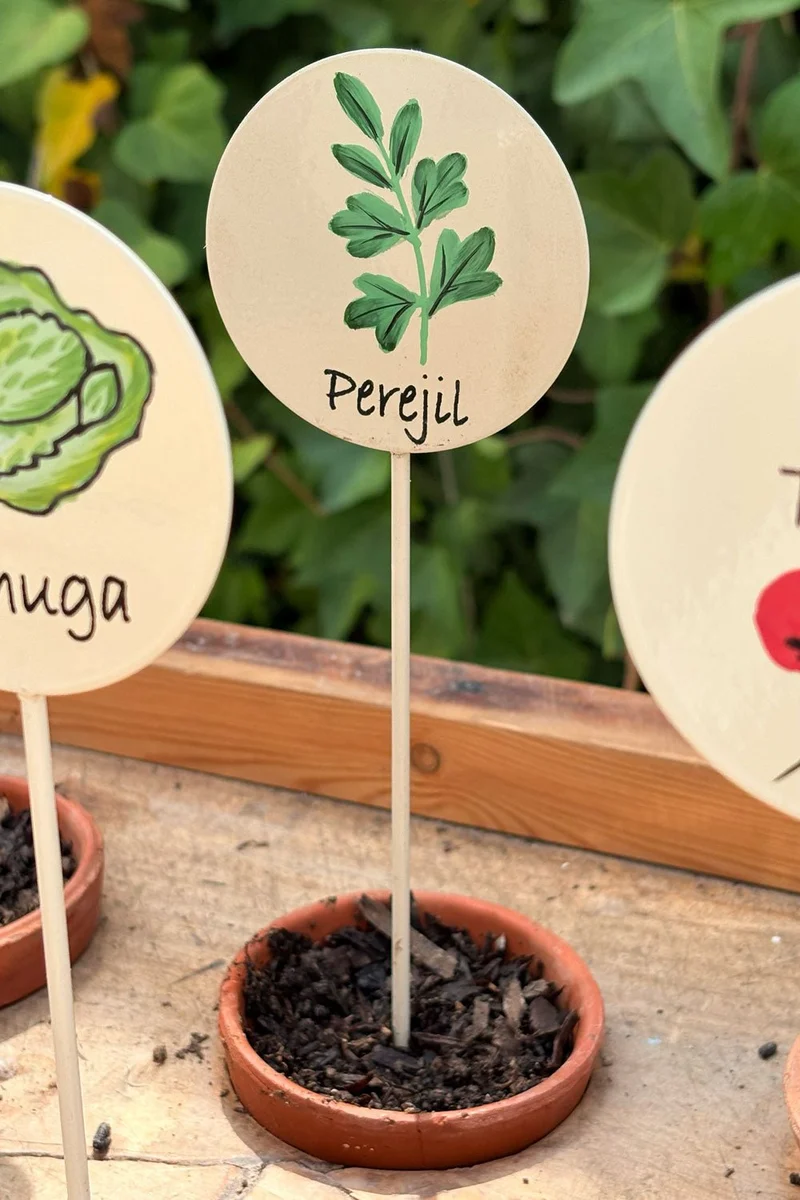 Cartel Para Plantas De Jardín Perejil