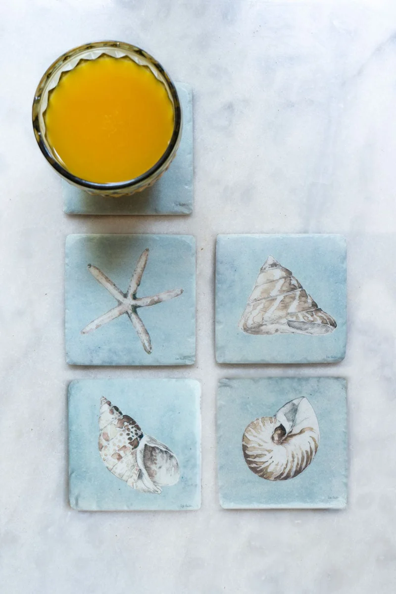 Set 4 Posavasos De Mármol Diseño Conchas