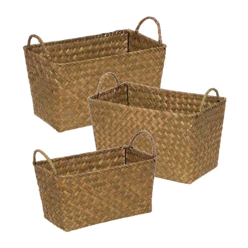 CESTA NATURAL CON ASAS