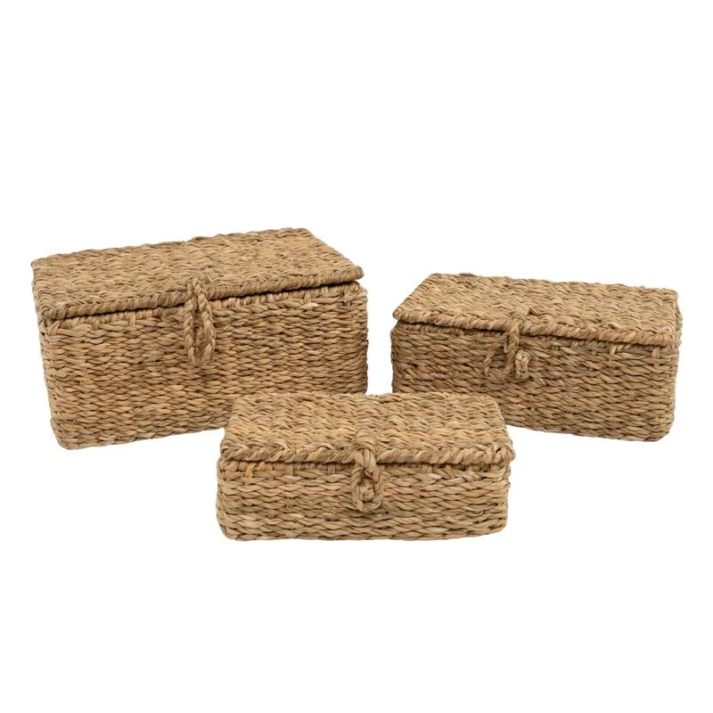 CAJA CON TAPA ALGA